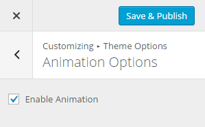 animation-options
